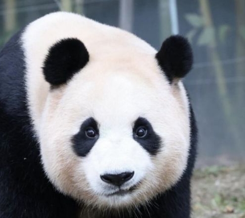 테이블 소개 이미지