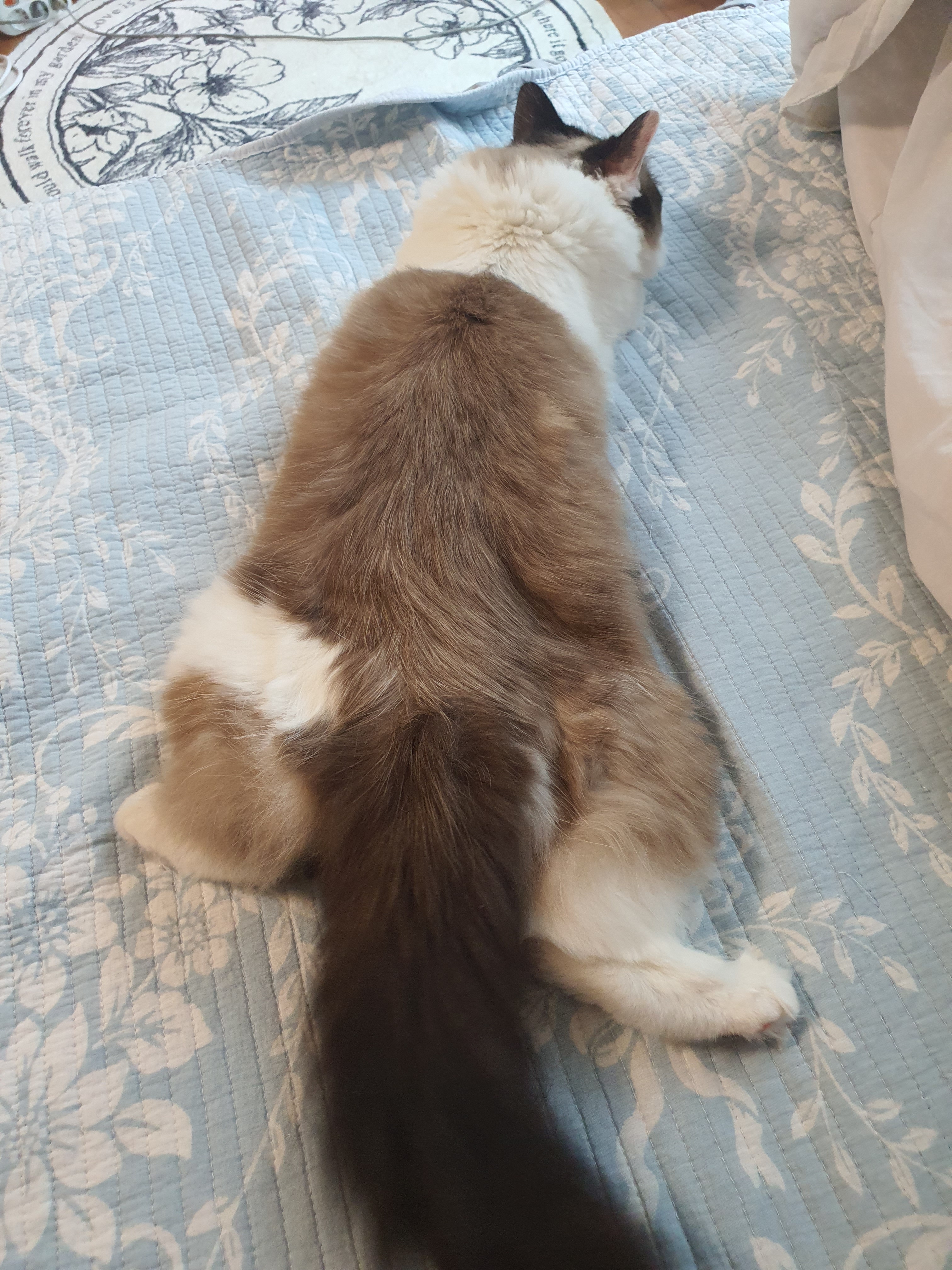 테이블 소개 이미지