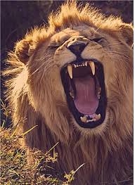 테이블 소개 이미지