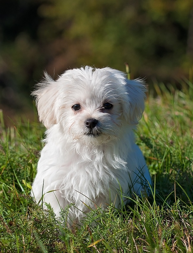 테이블 소개 이미지