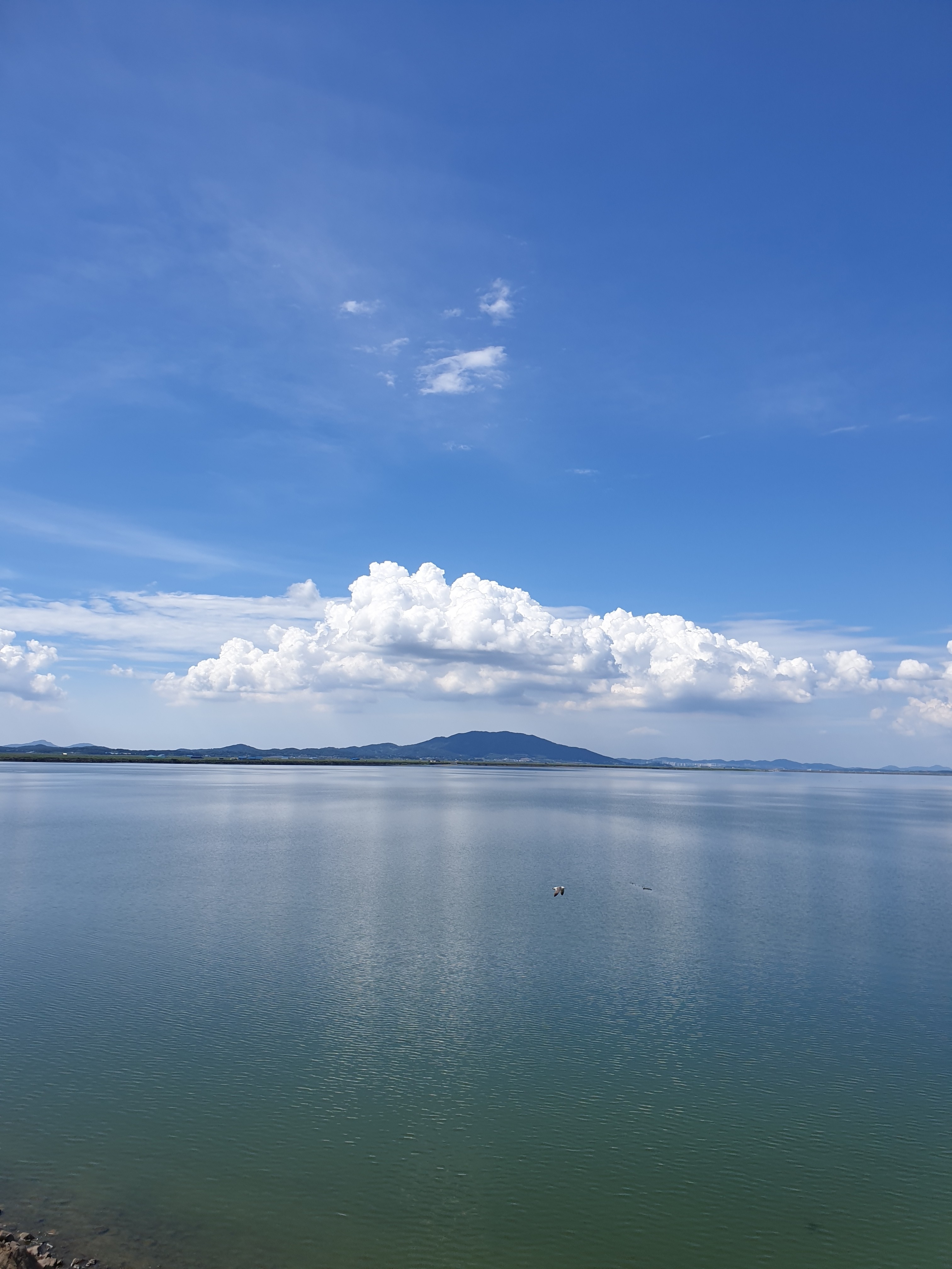 테이블 소개 이미지