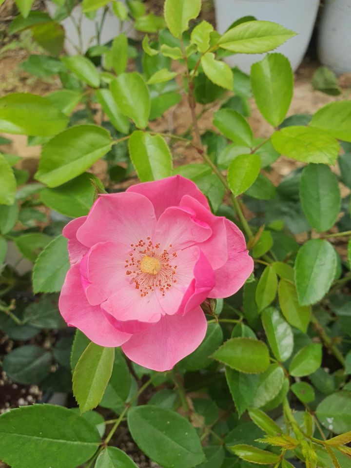 테이블 소개 이미지