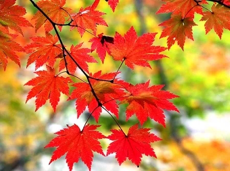 테이블 소개 이미지