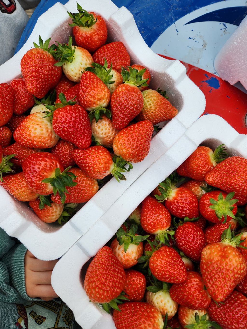 테이블 소개 이미지