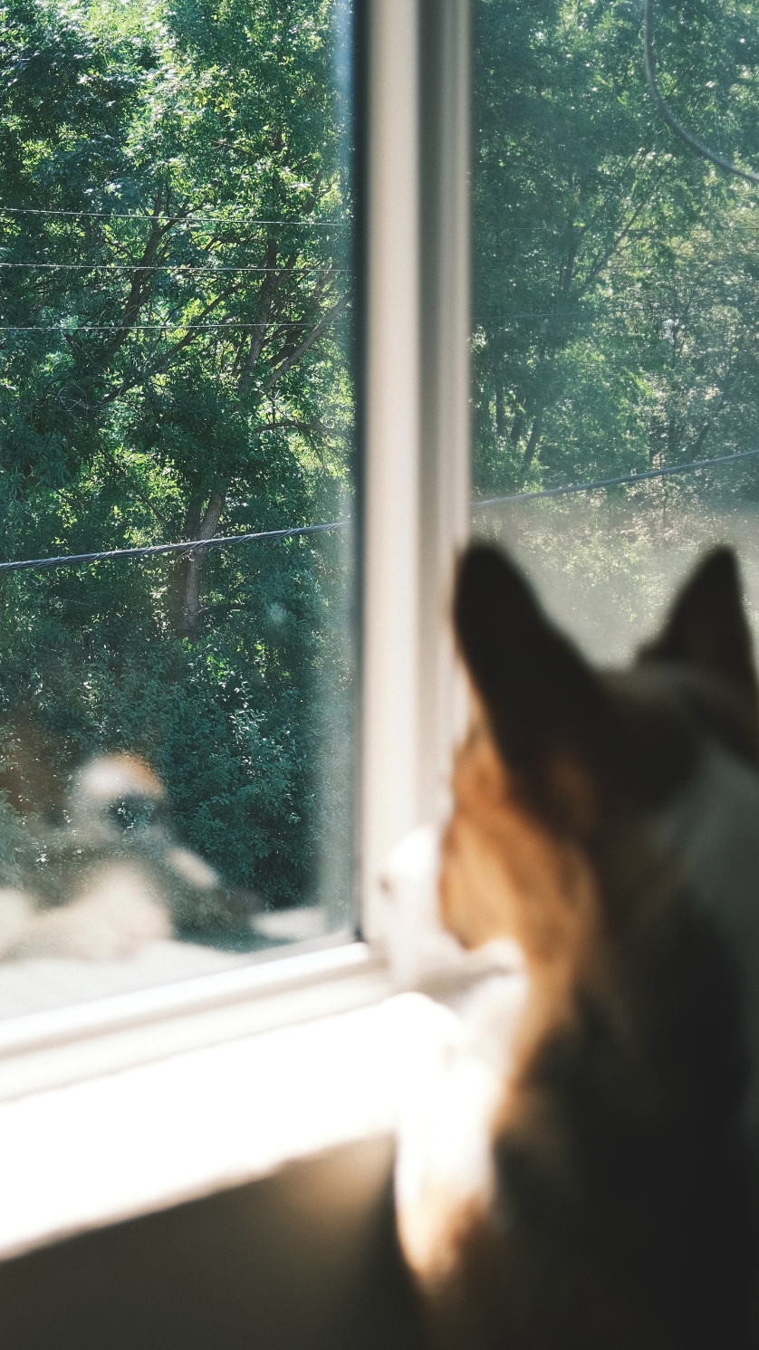 테이블 소개 이미지