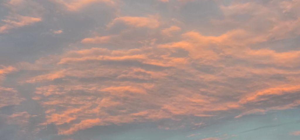 테이블 소개 이미지