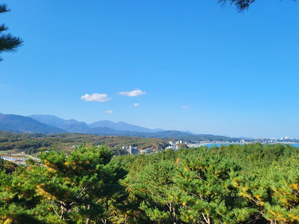 테이블 소개 이미지