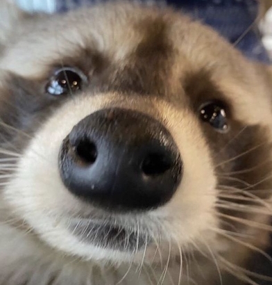 테이블 소개 이미지