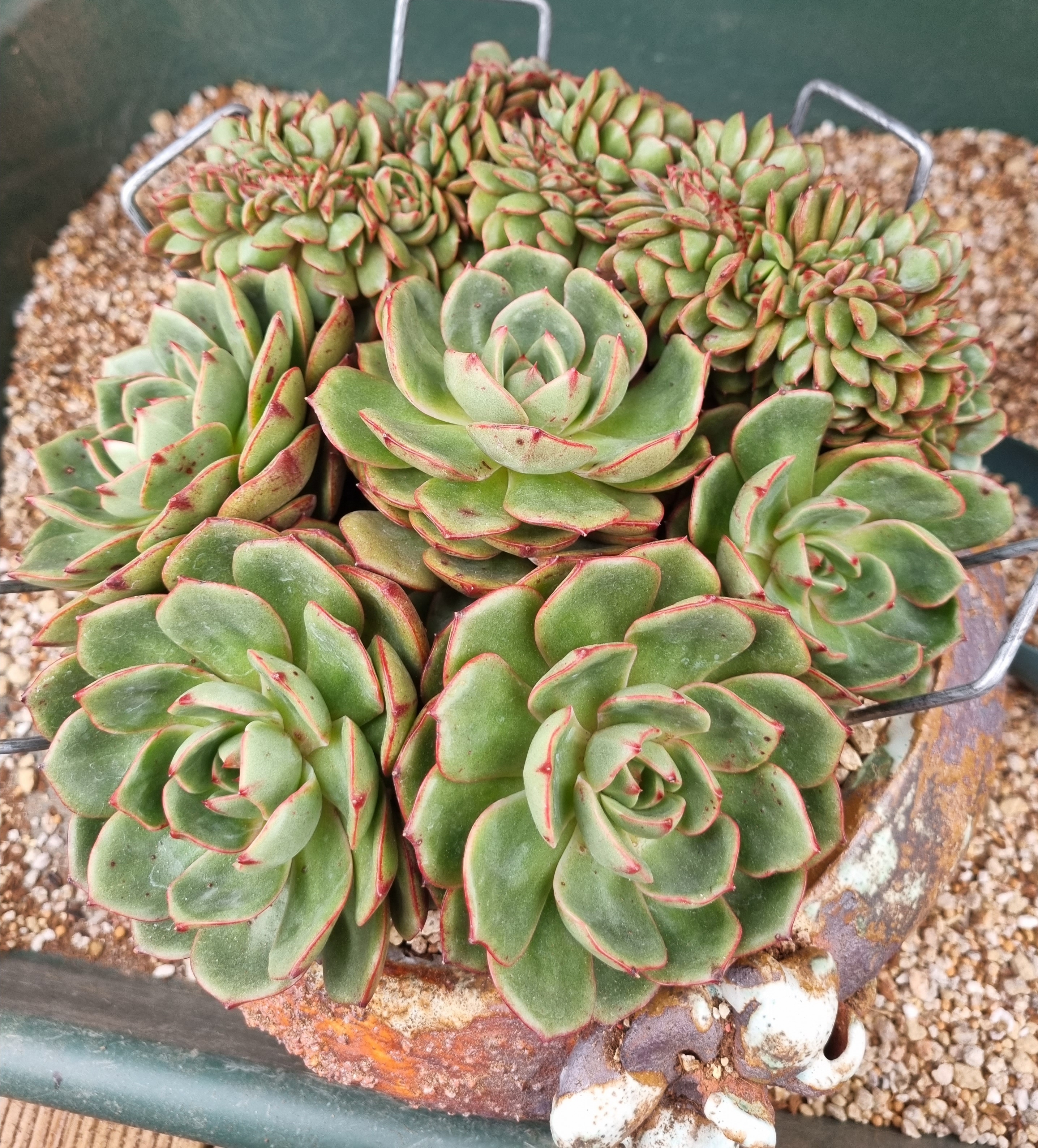 테이블 소개 이미지