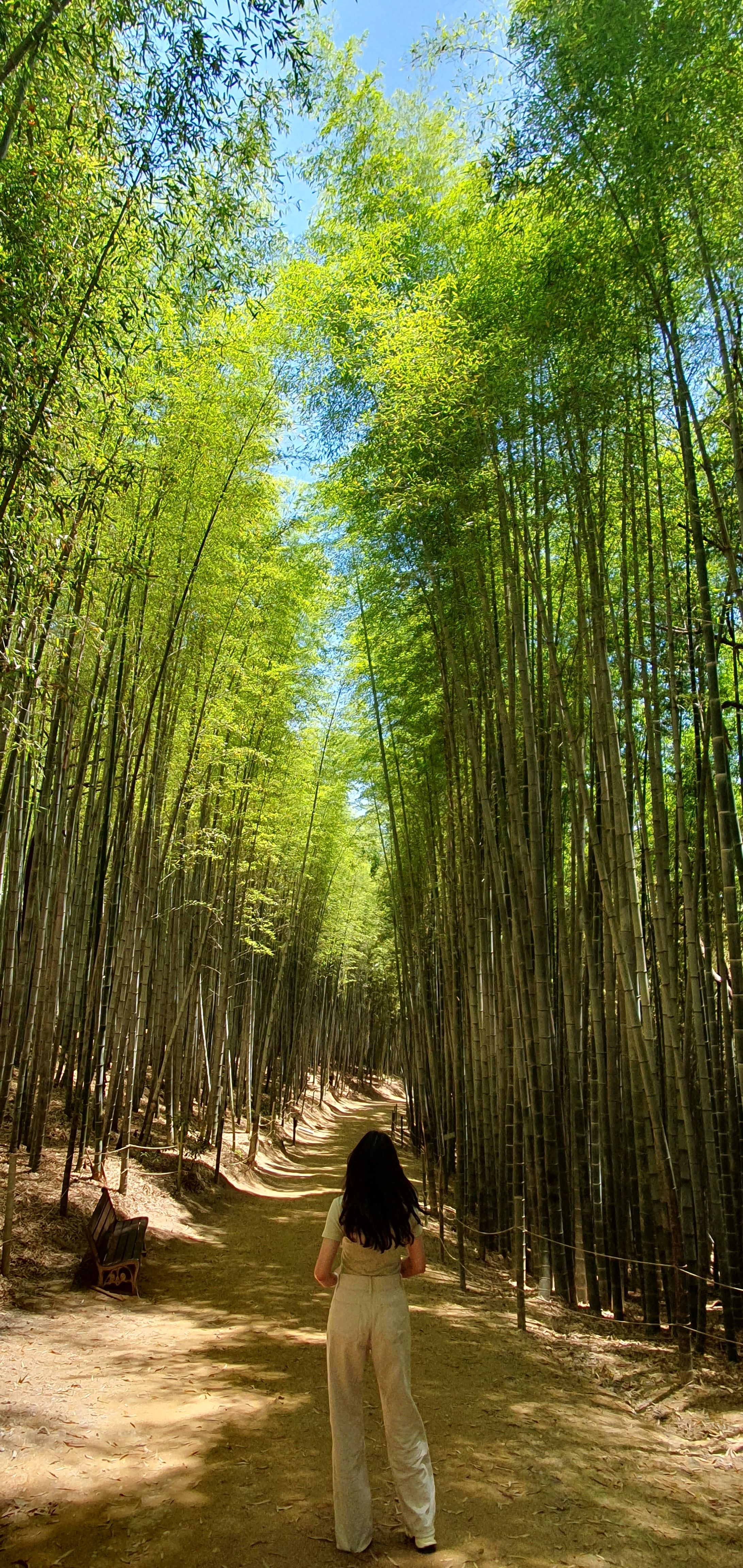 테이블 소개 이미지