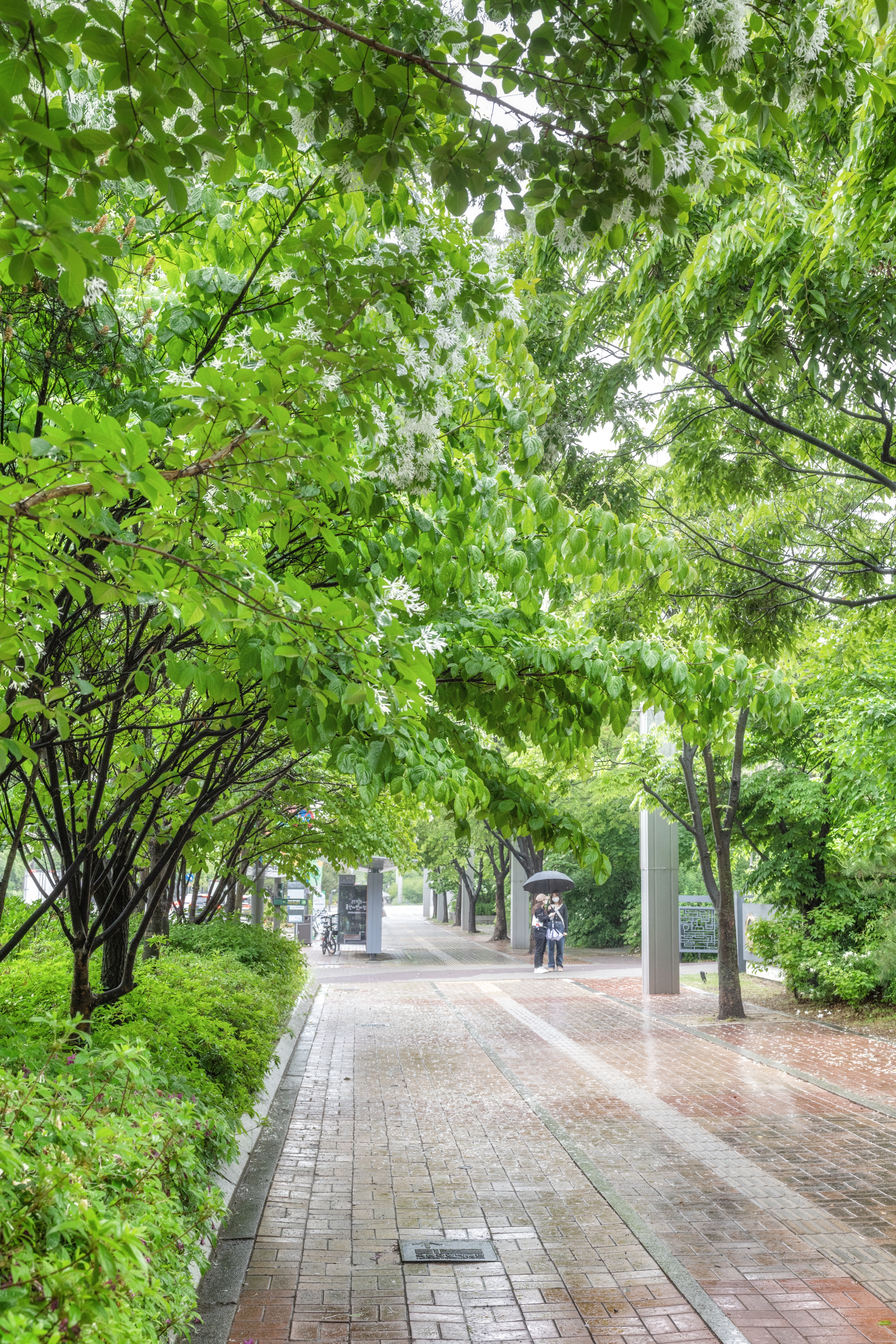 테이블 소개 이미지