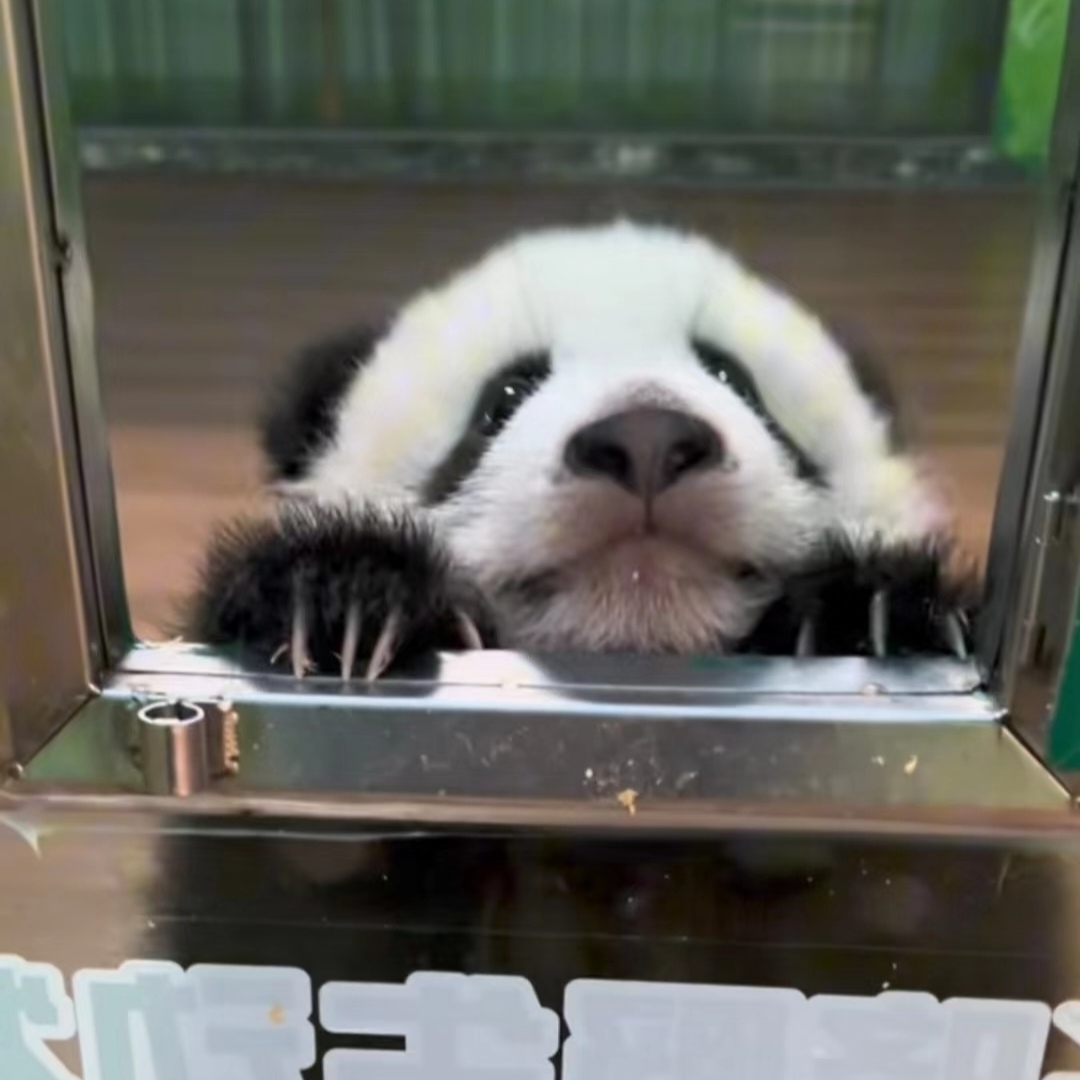 테이블 소개 이미지