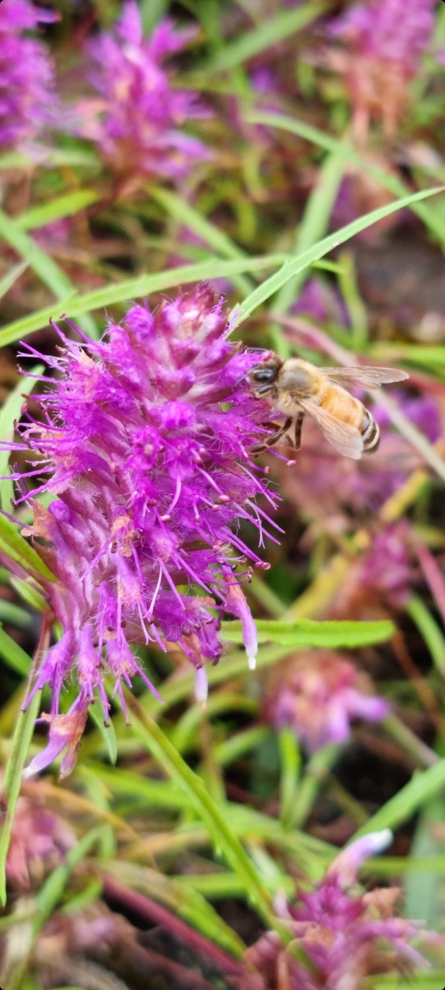 테이블 소개 이미지