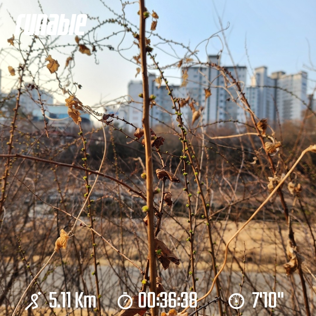 테이블 소개 이미지