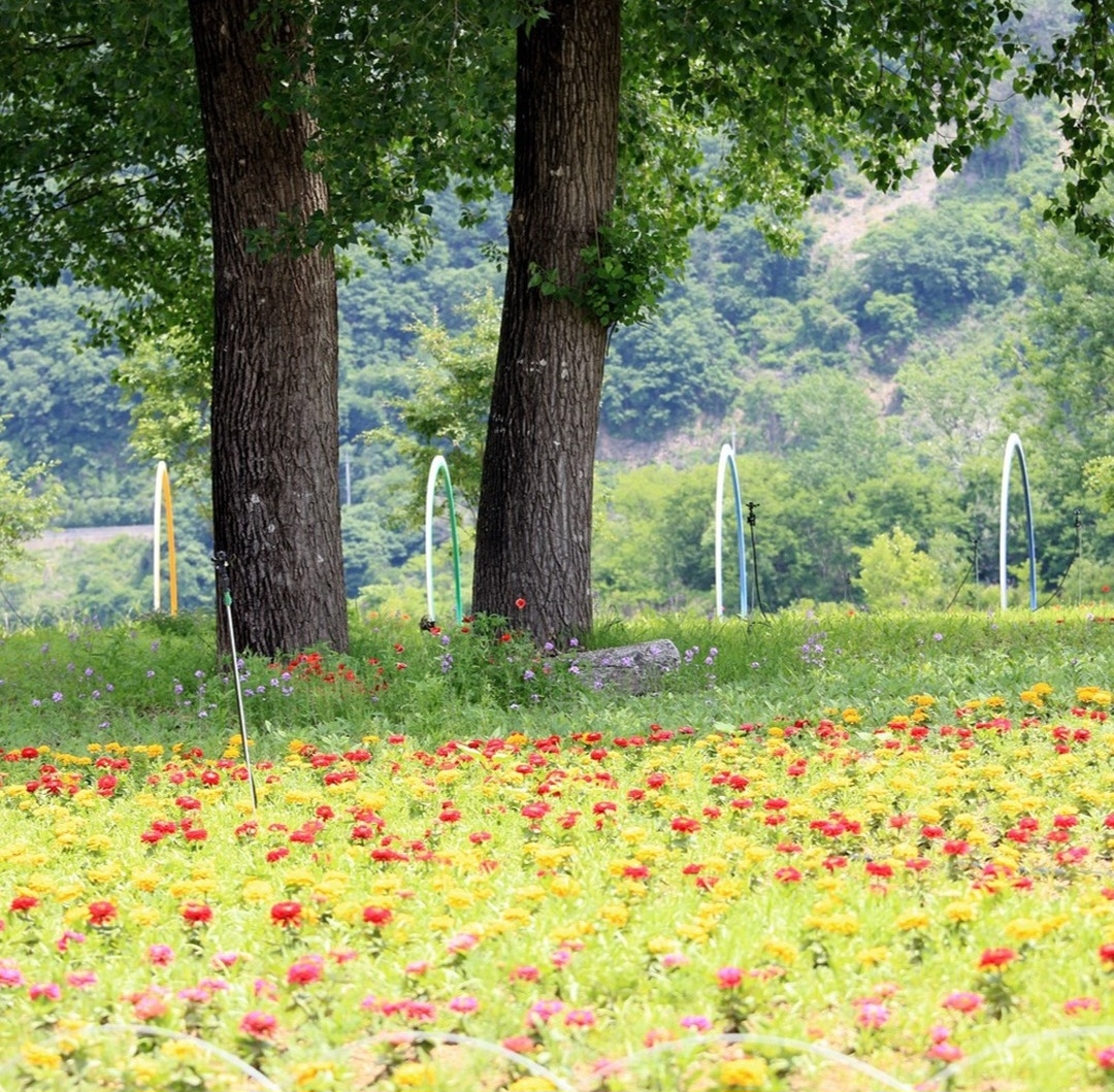 테이블 소개 이미지