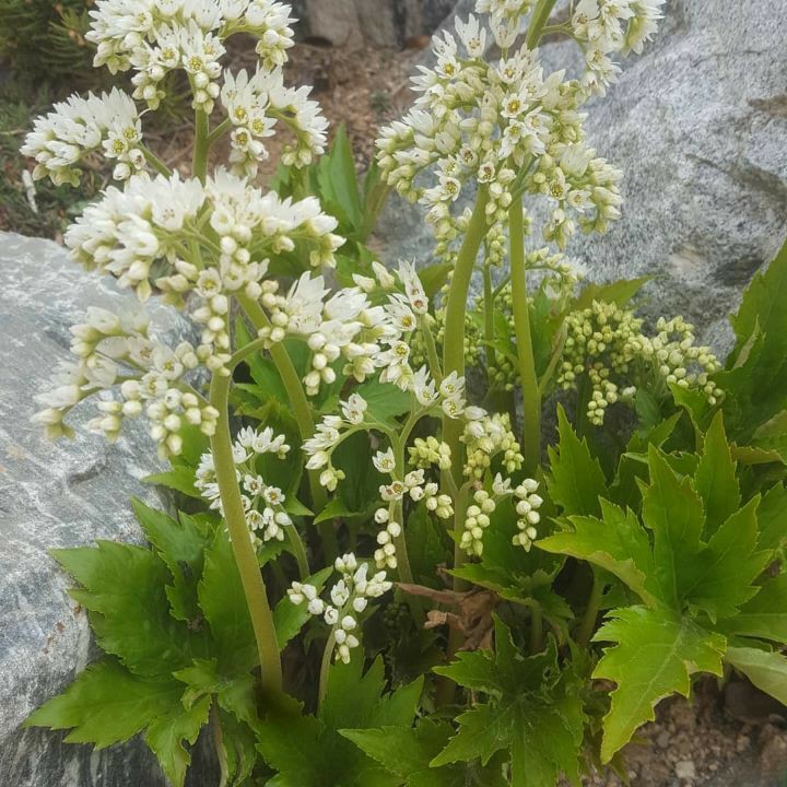 테이블 소개 이미지