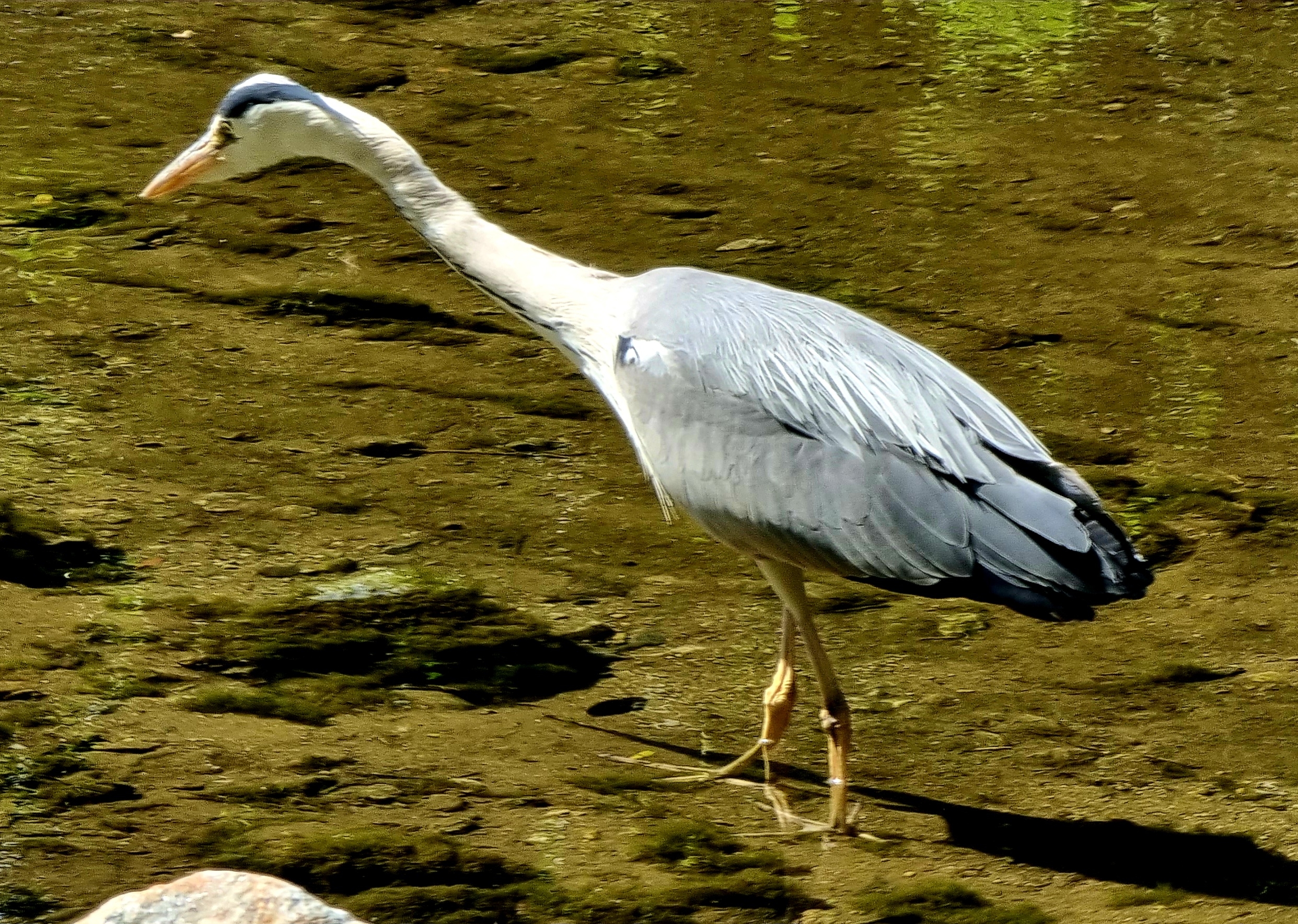 테이블 소개 이미지