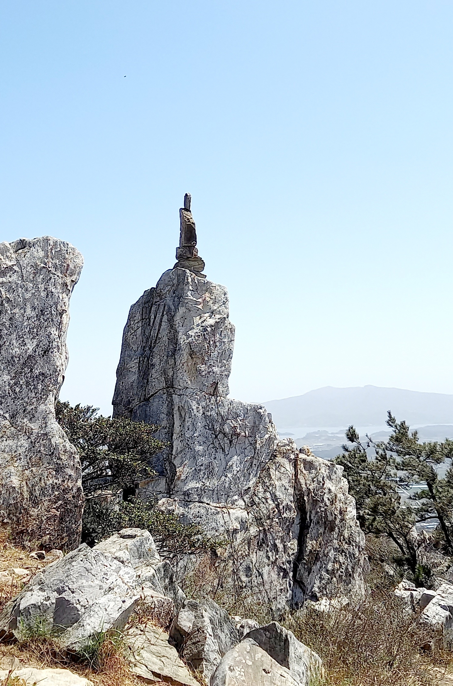 테이블 소개 이미지