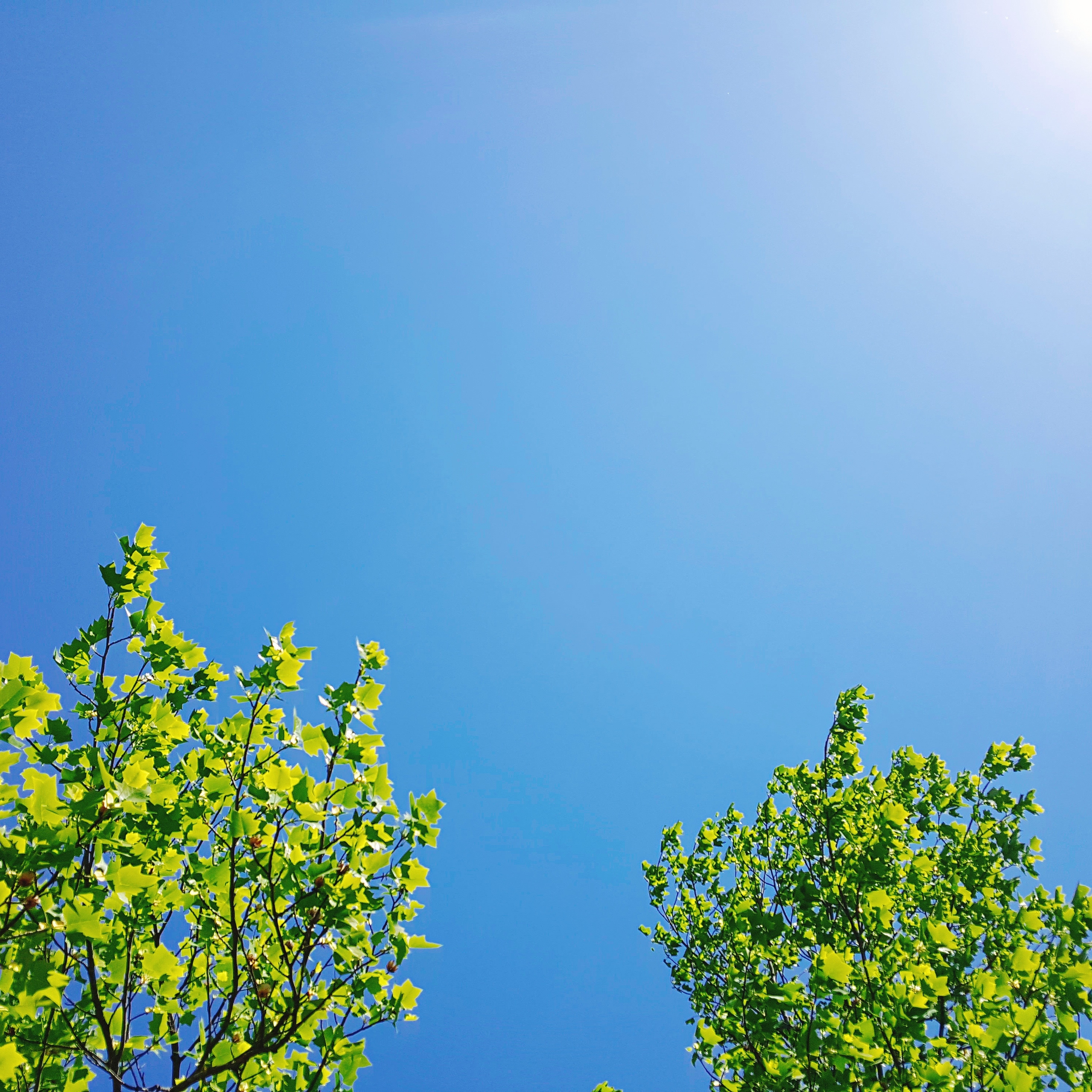 테이블 소개 이미지