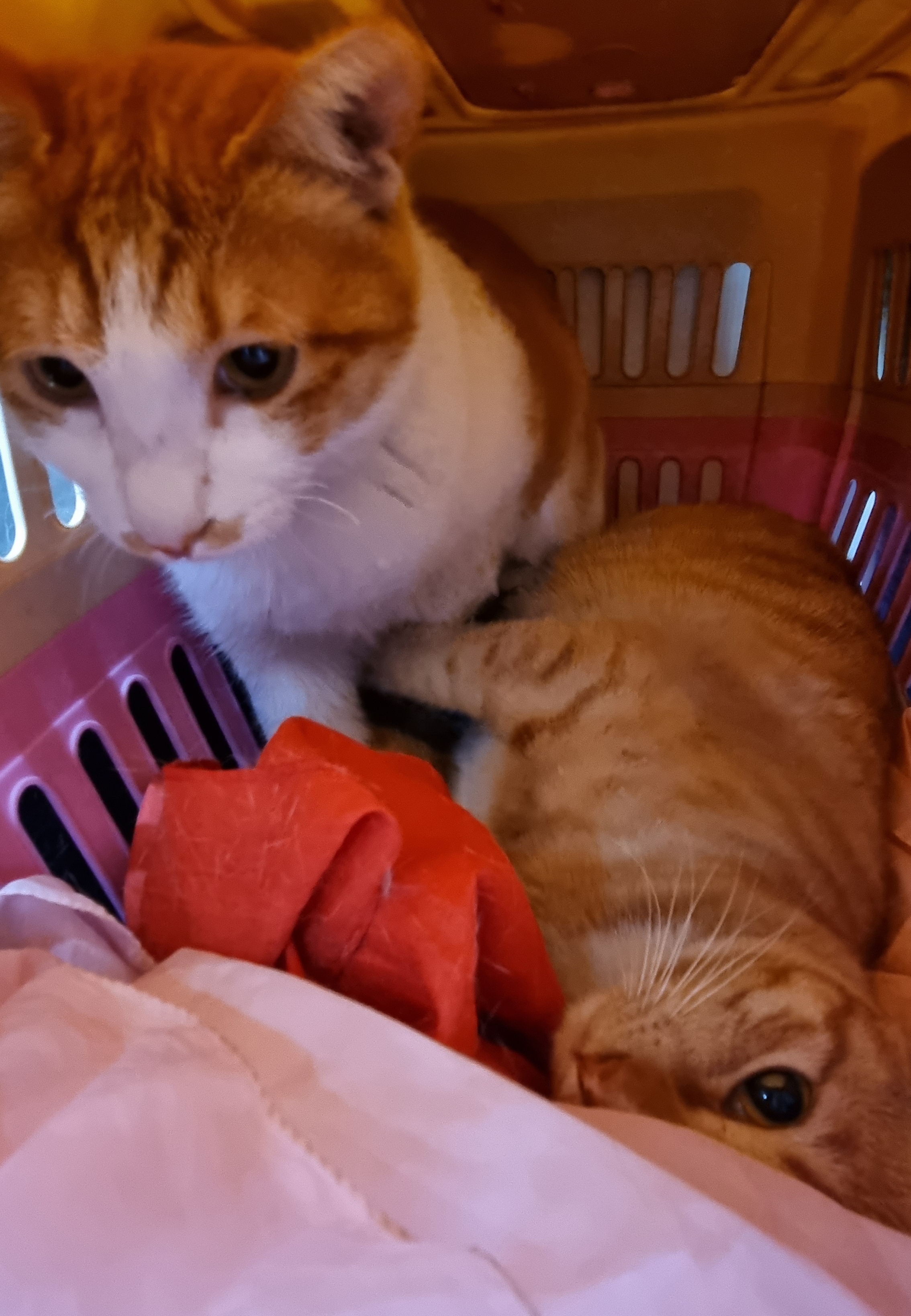 테이블 소개 이미지