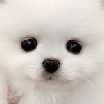 테이블 소개 이미지