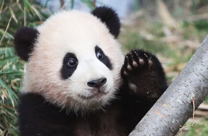 테이블 소개 이미지