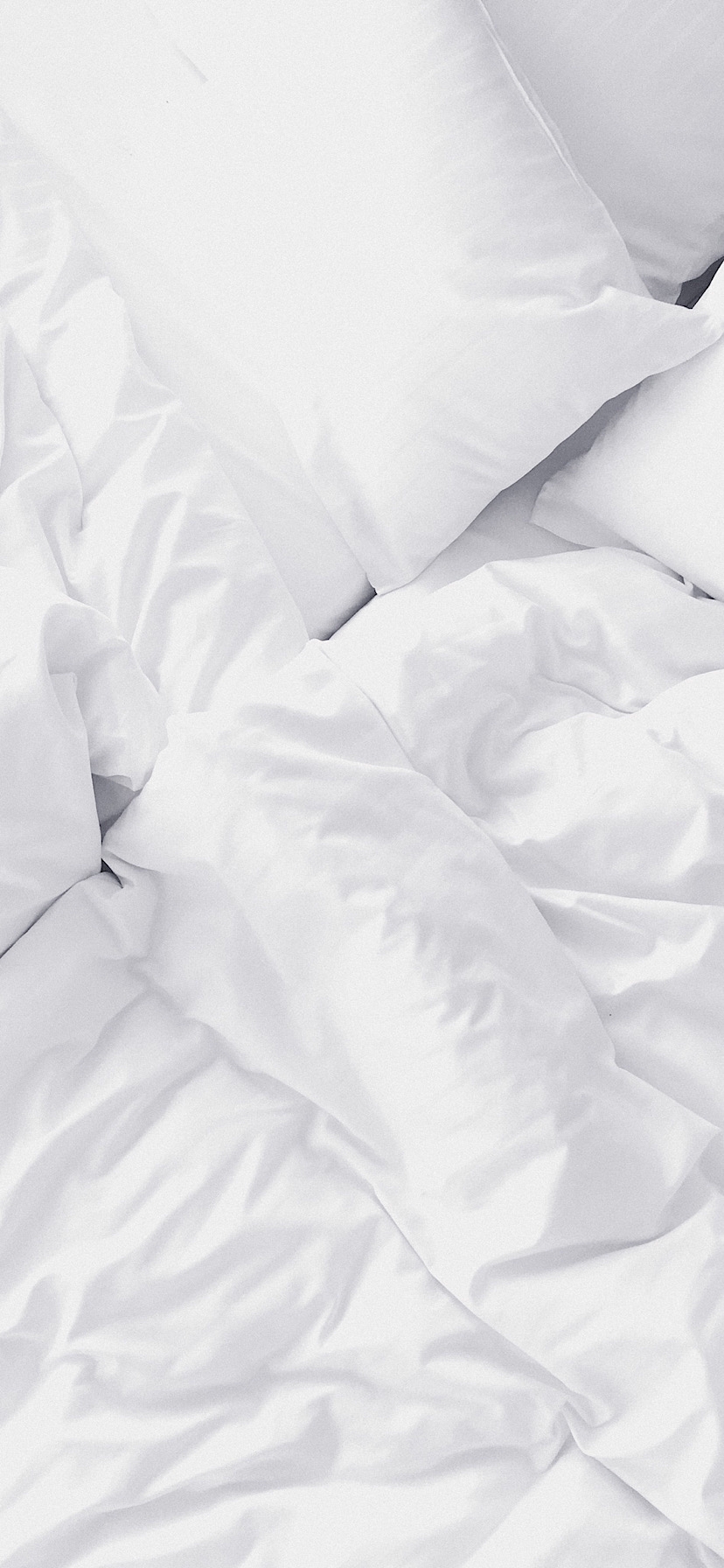 테이블 소개 이미지