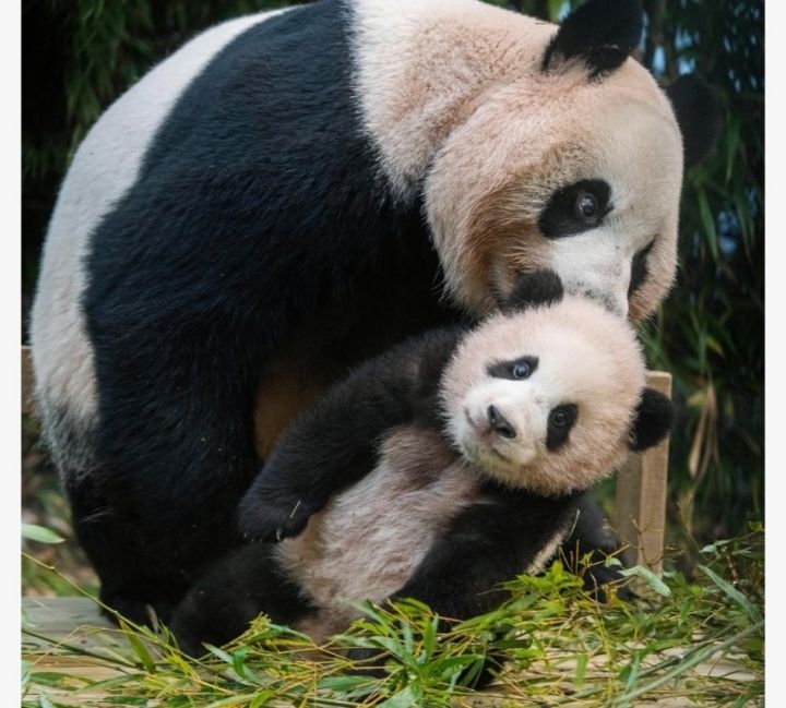 나만 유부녀야?