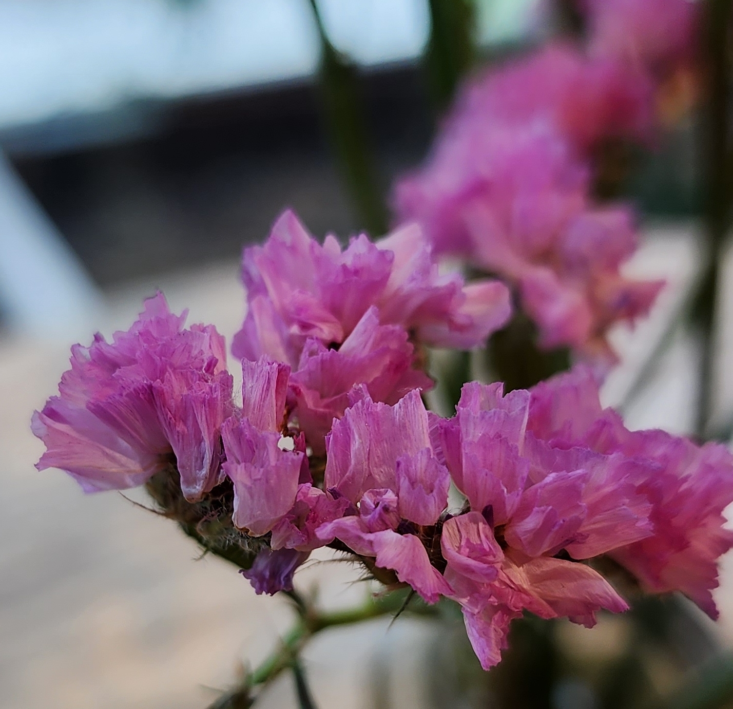 테이블 소개 이미지