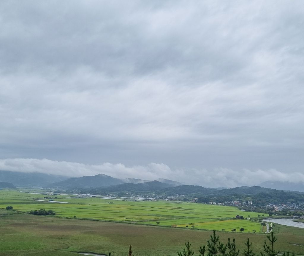 테이블 대표이미지