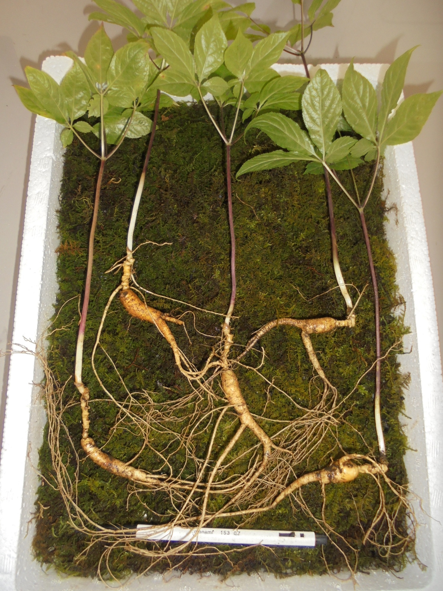 테이블 소개 이미지