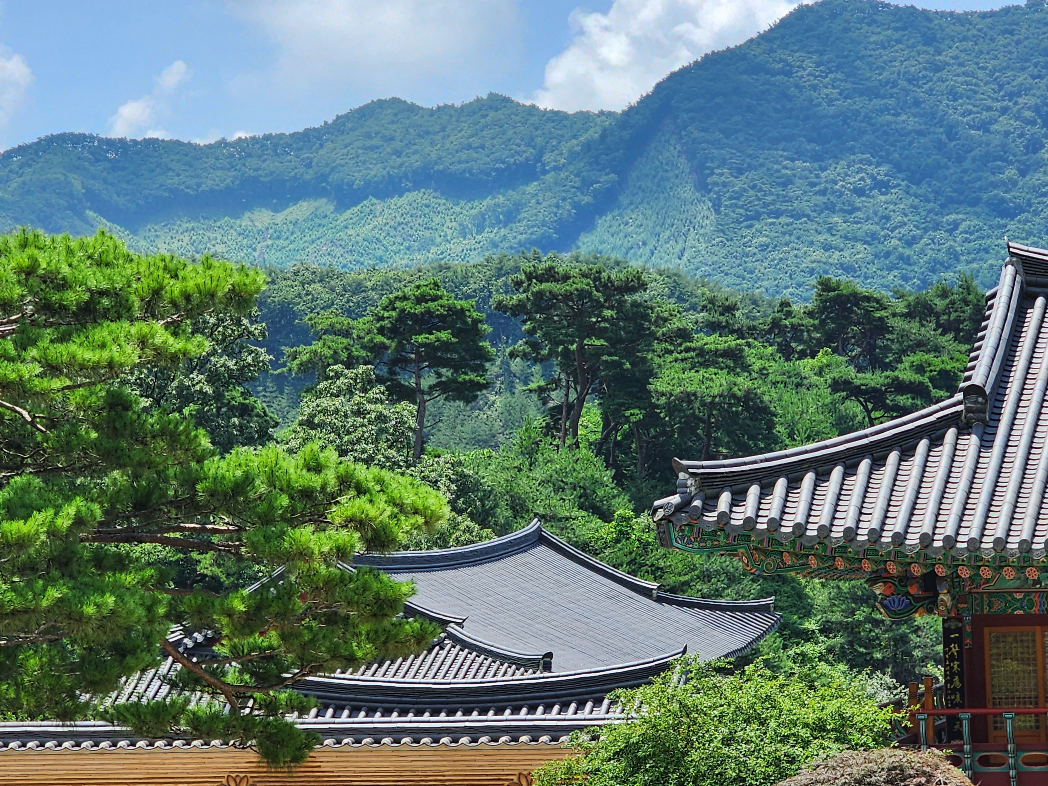 테이블 소개 이미지