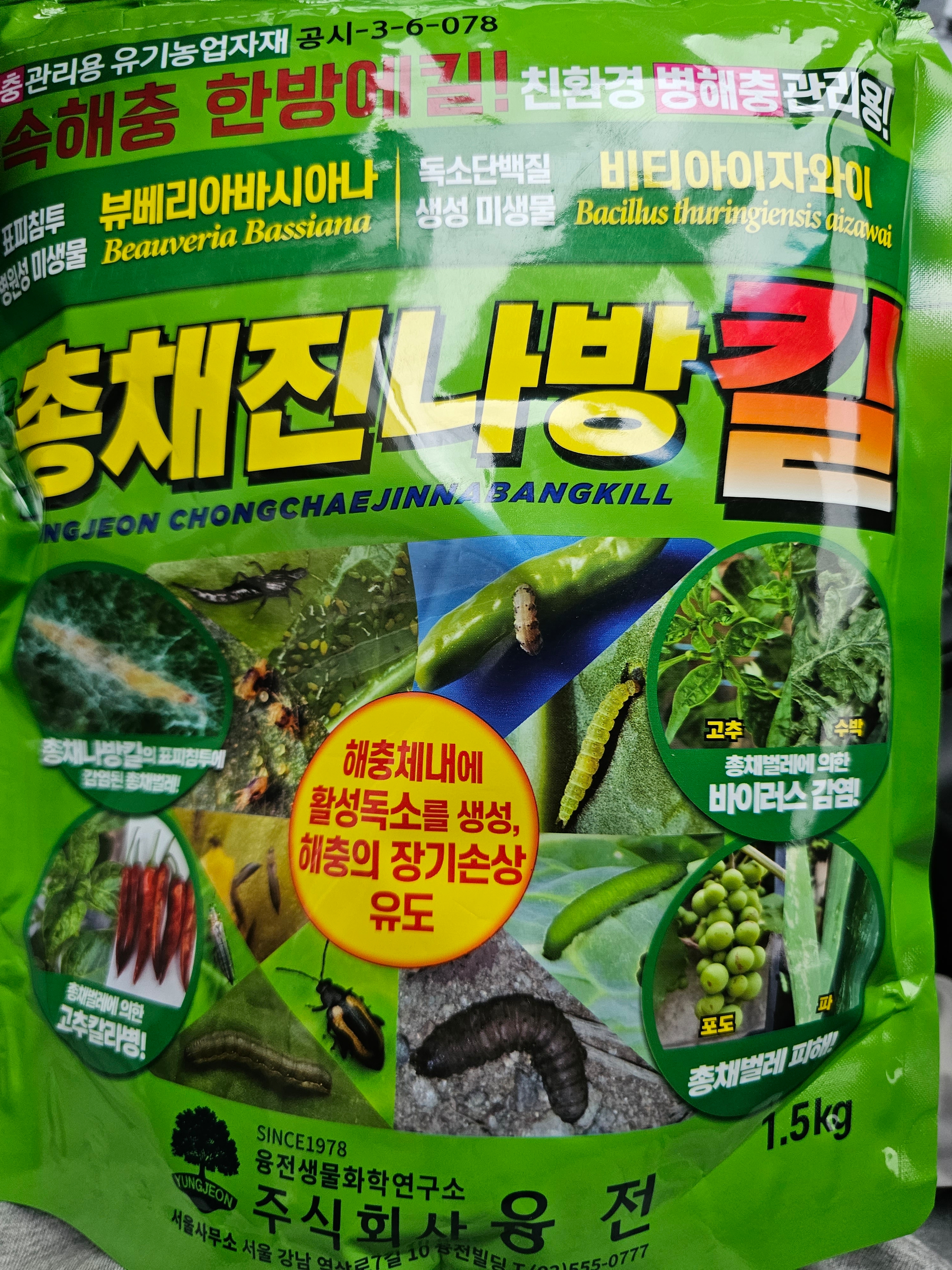 테이블 소개 이미지