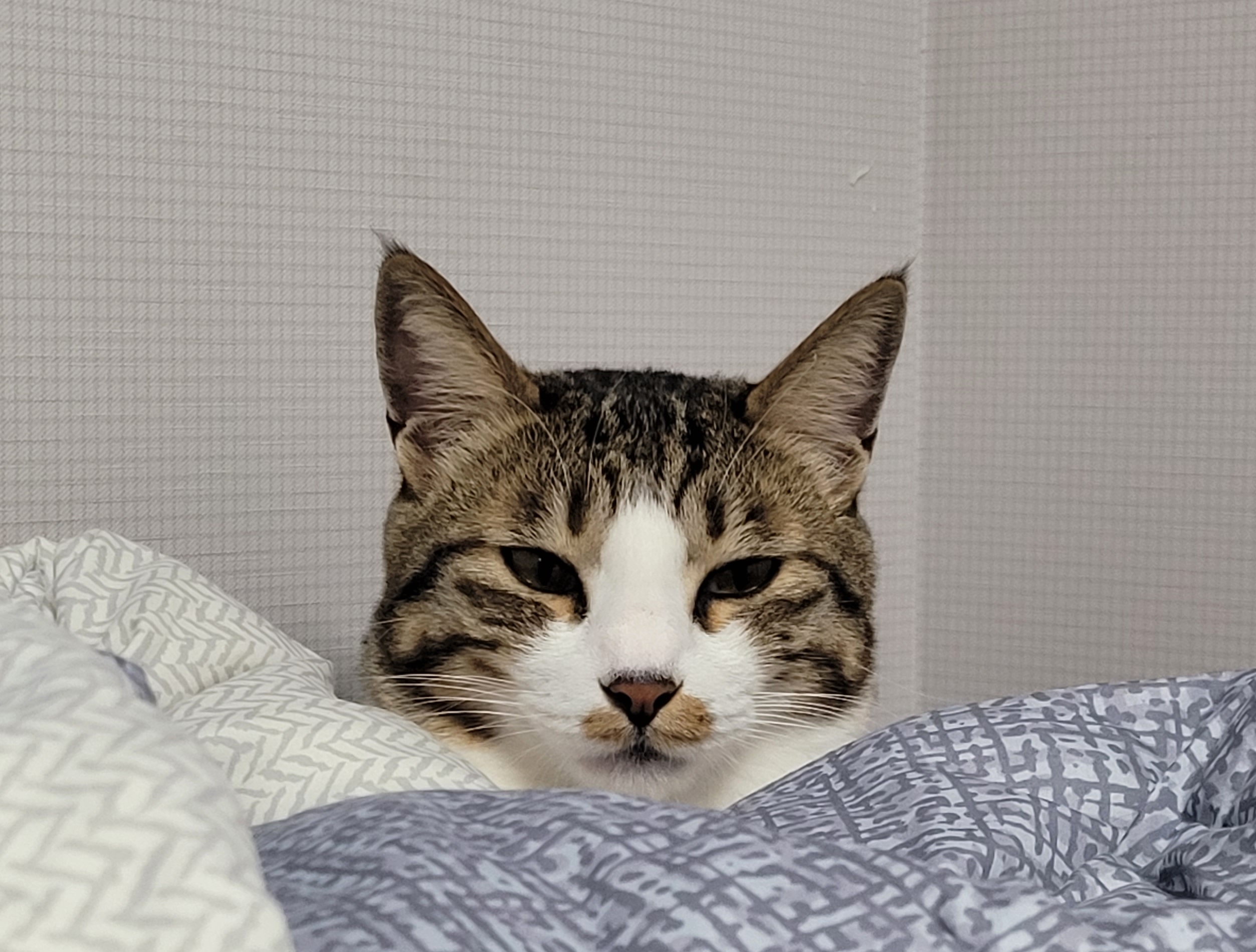 테이블 소개 이미지