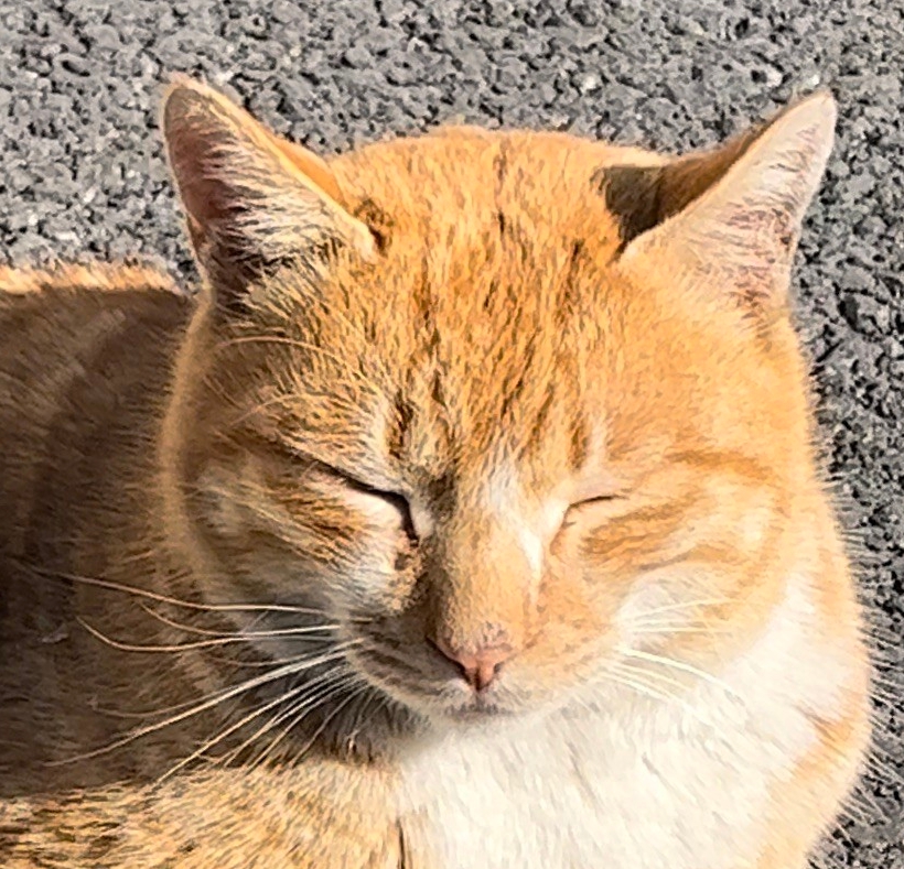 테이블 소개 이미지