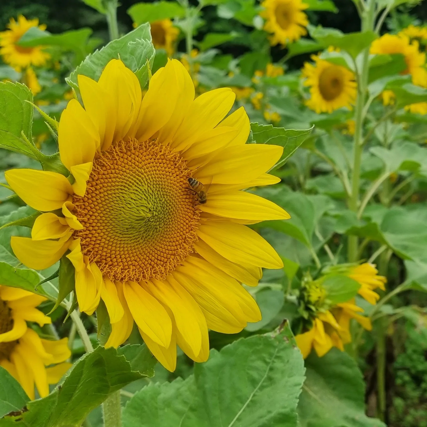 테이블 소개 이미지