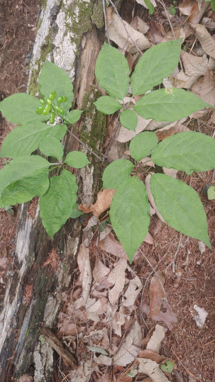 테이블 소개 이미지