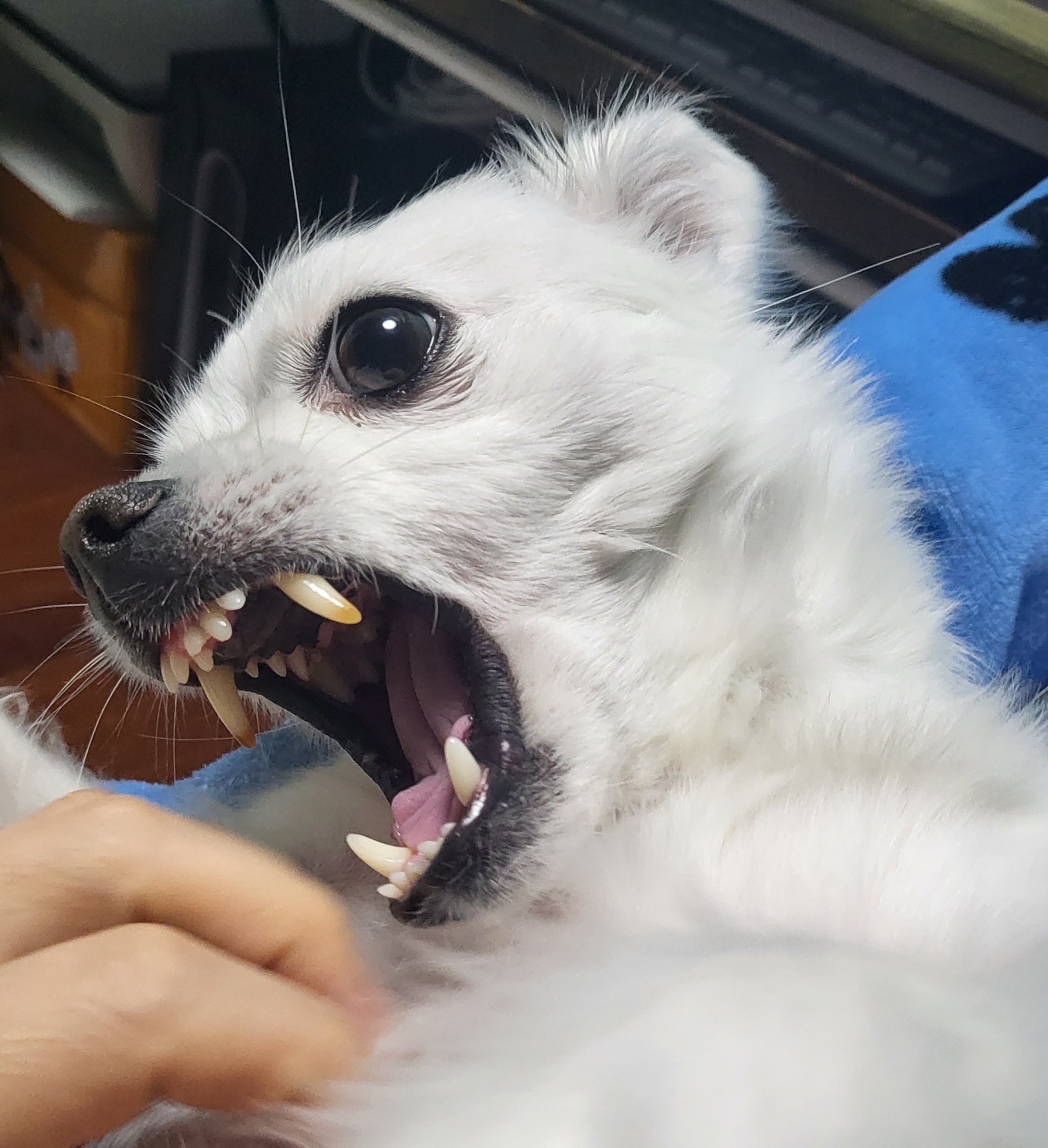 테이블 소개 이미지