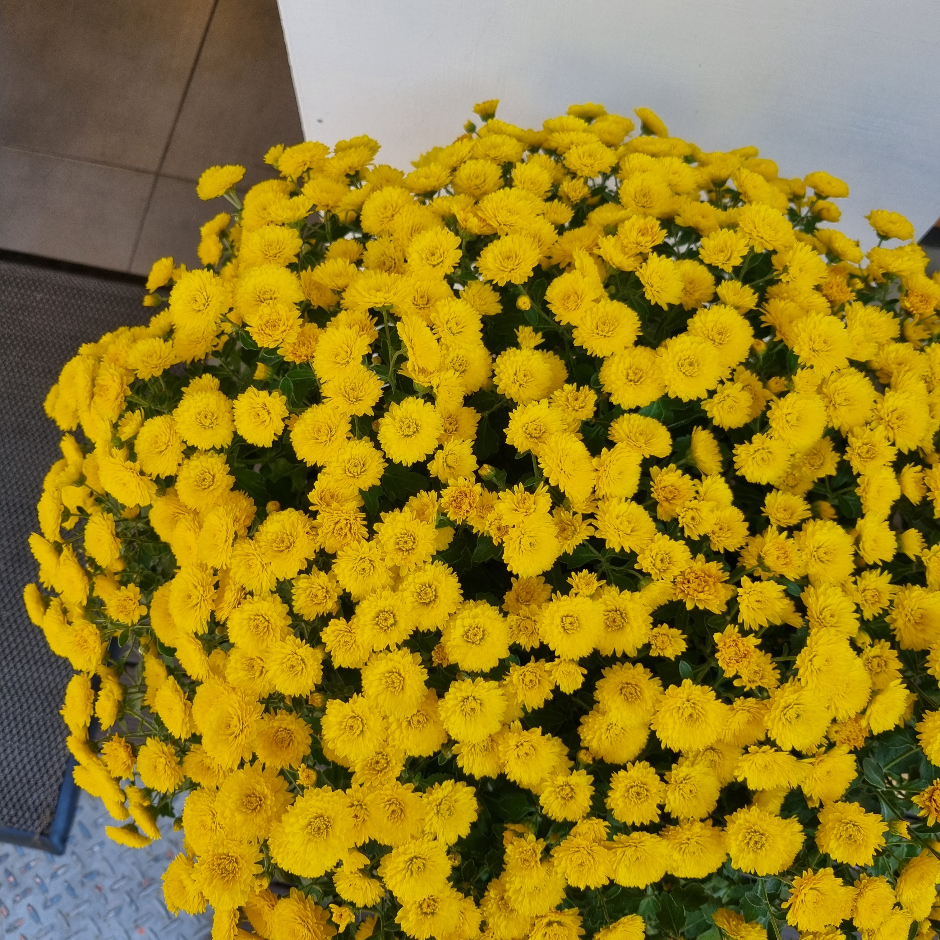 테이블 소개 이미지