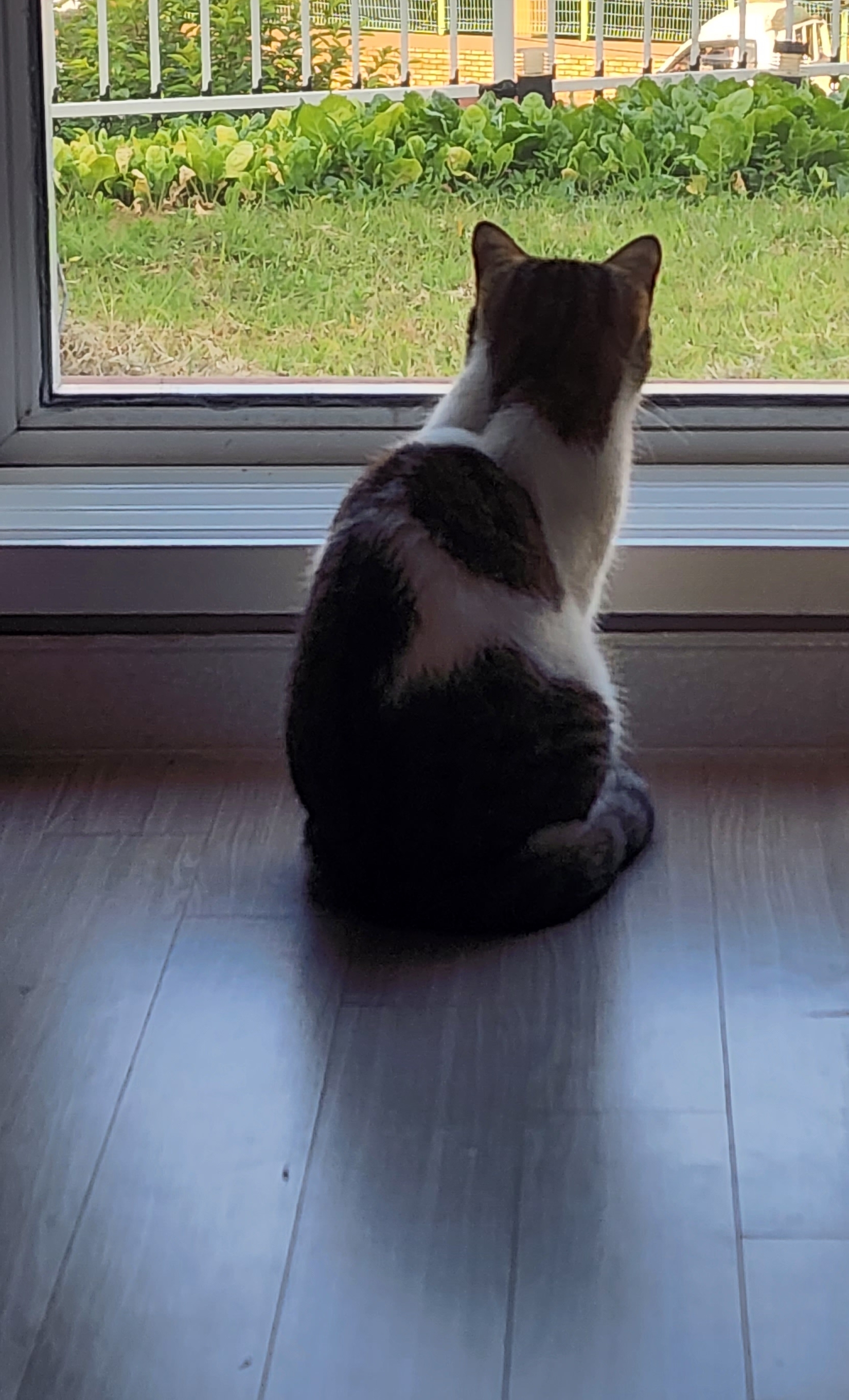 테이블 소개 이미지