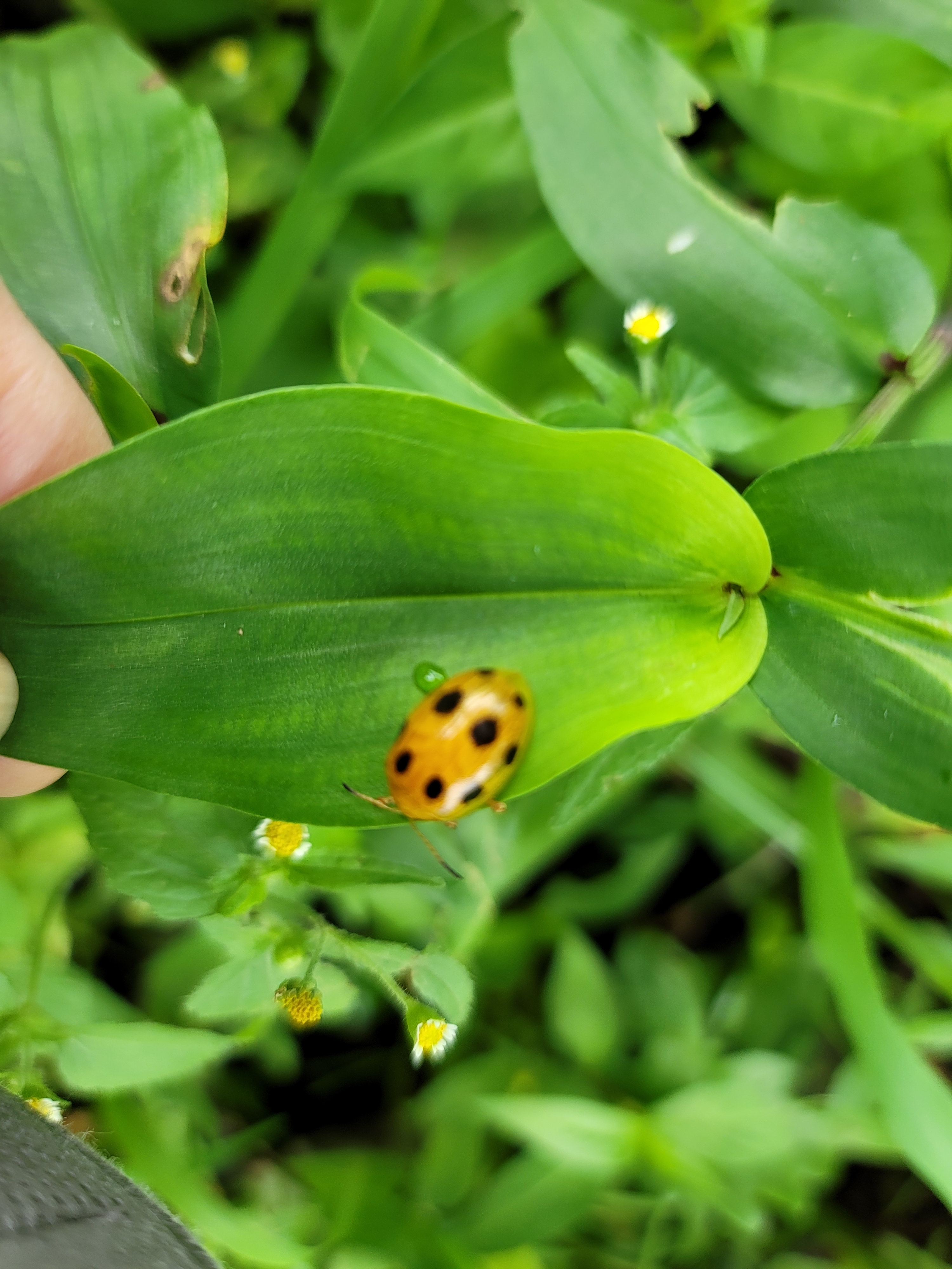테이블 대표이미지