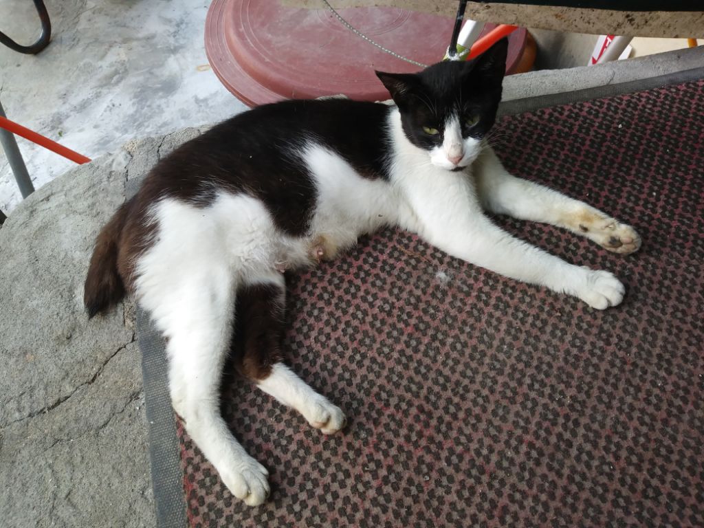 테이블 소개 이미지