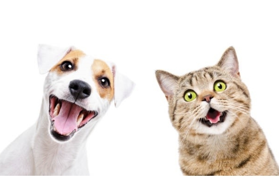 테이블 소개 이미지