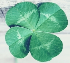 테이블 소개 이미지