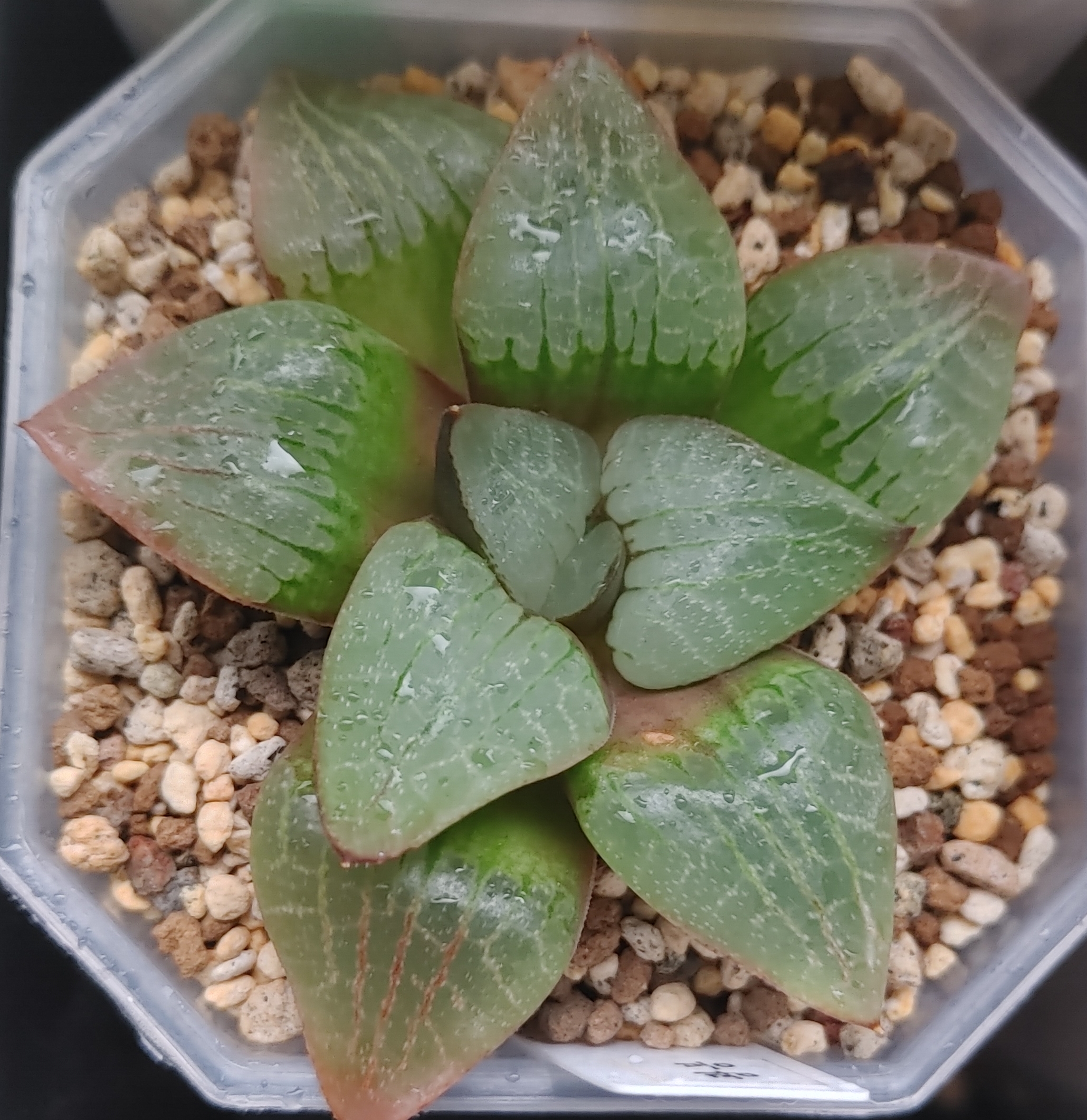 테이블 소개 이미지