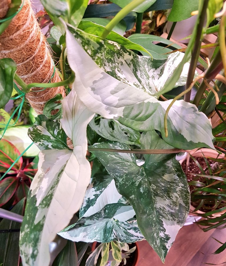 테이블 대표이미지