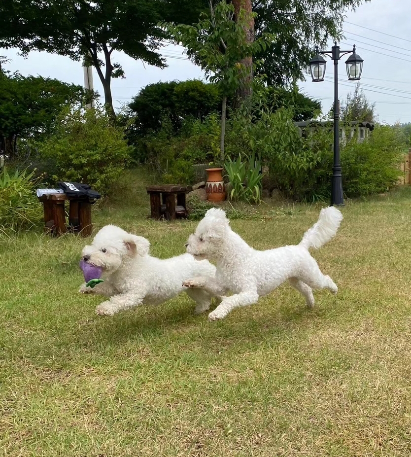 테이블 소개 이미지