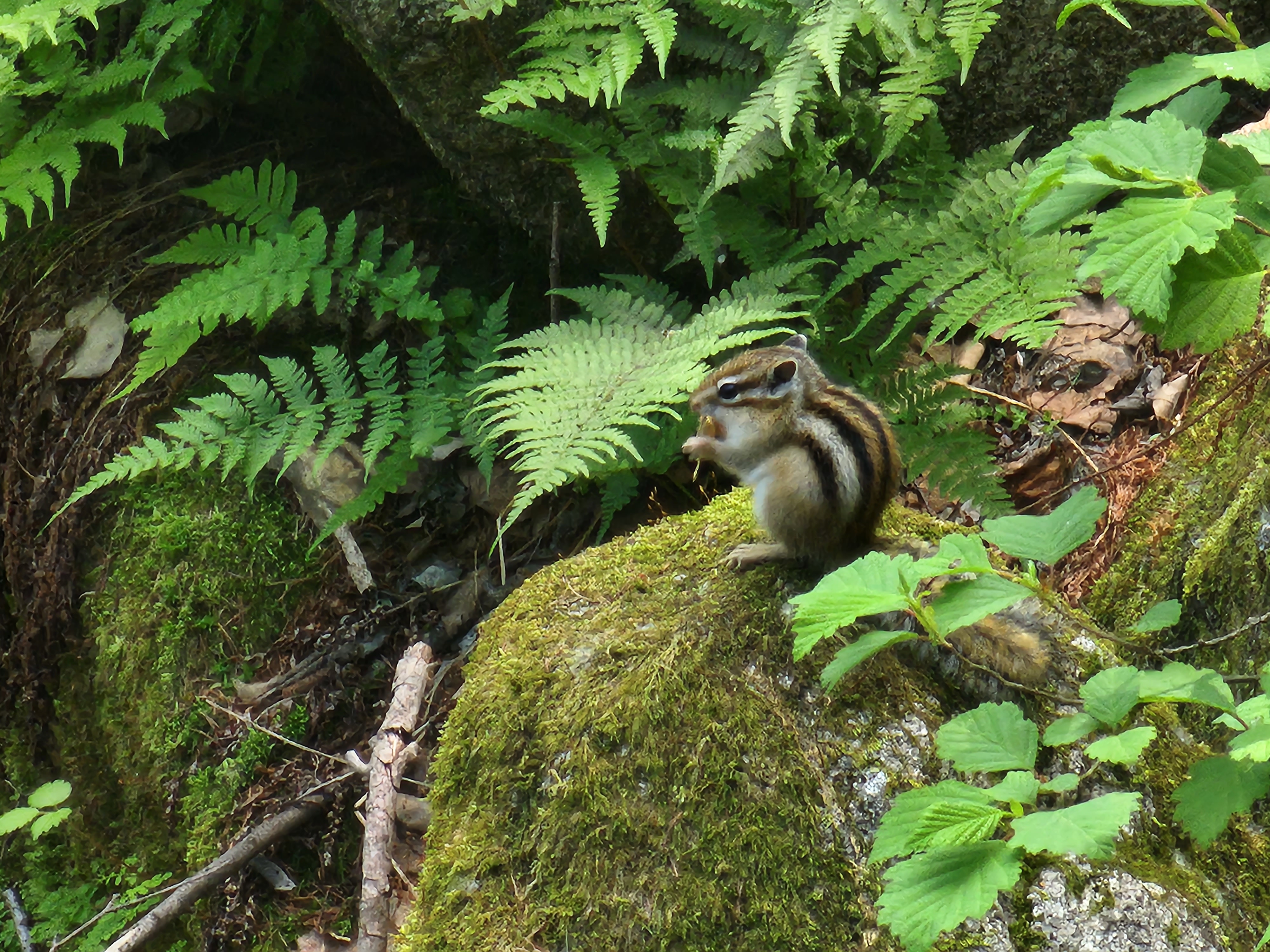 테이블 소개 이미지