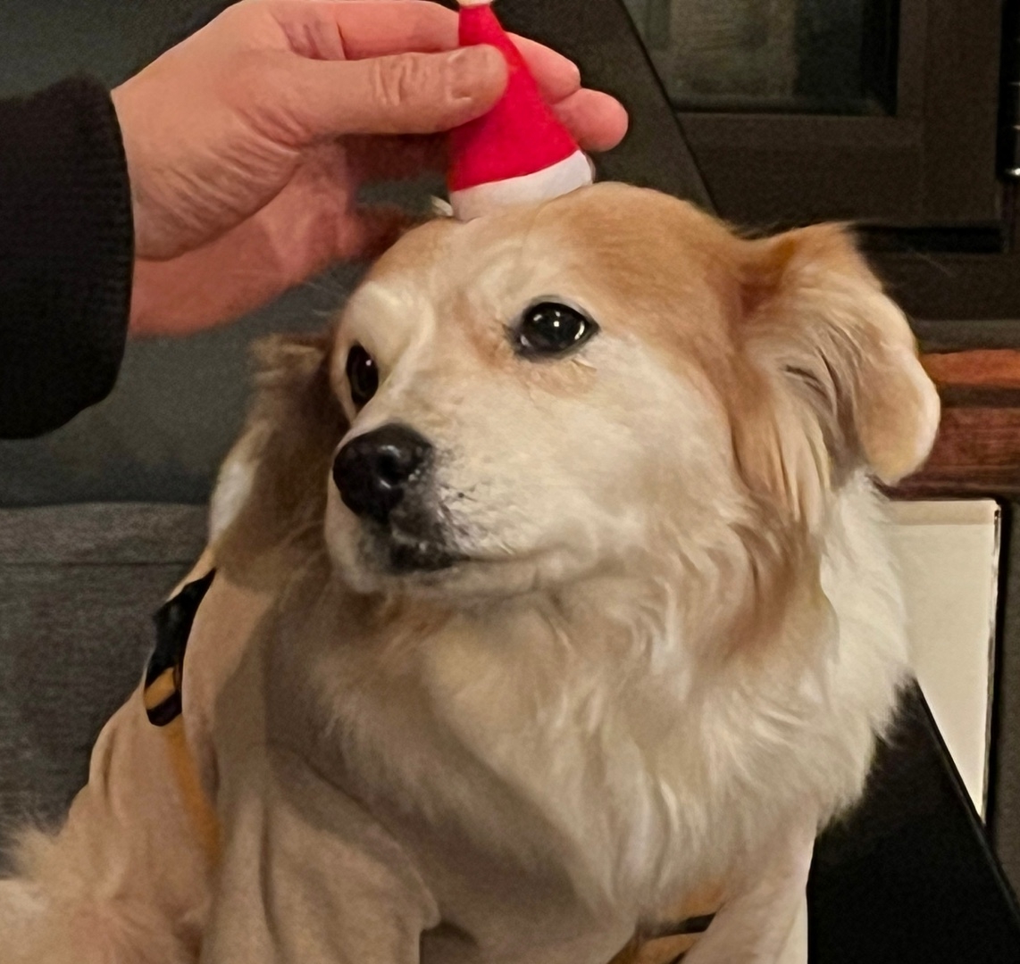 테이블 소개 이미지