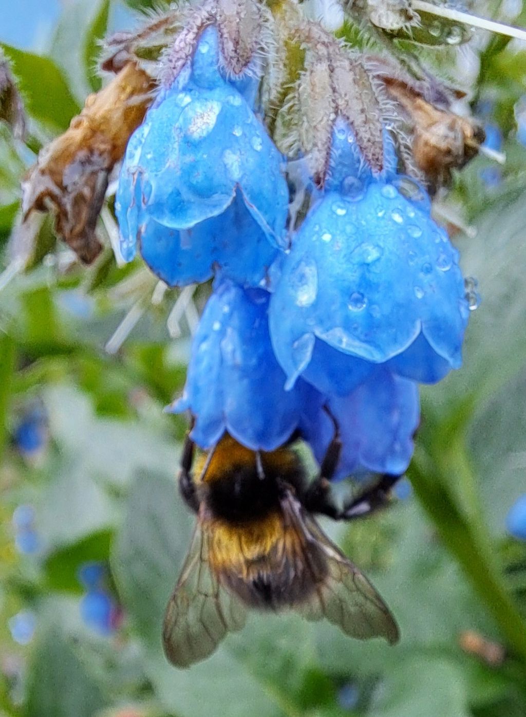 테이블 소개 이미지